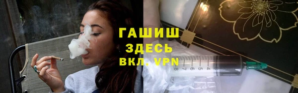 индика Тында