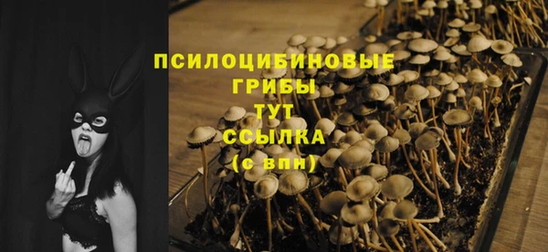 прущие грибы Тобольск