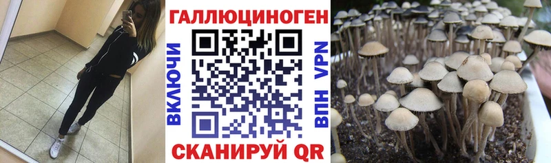 KRAKEN ТОР  Гурьевск  Псилоцибиновые грибы MAGIC MUSHROOMS  купить наркотики сайты 