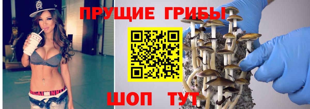 Псилоцибиновые грибы MAGIC MUSHROOMS Гурьевск