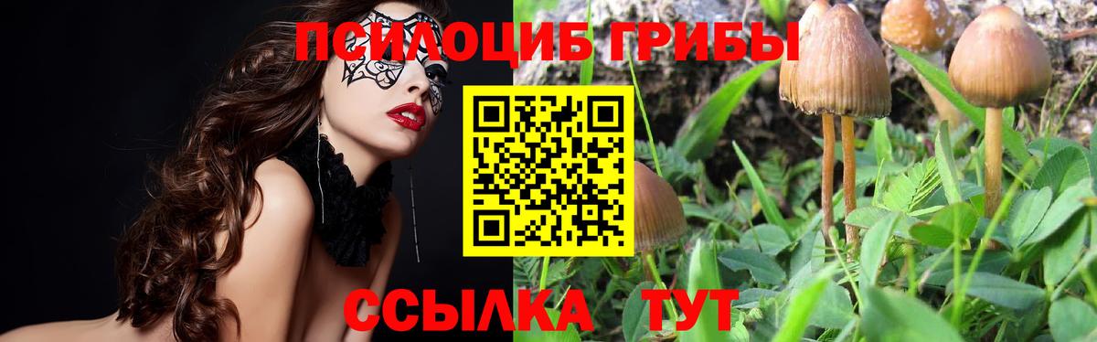 Псилоцибиновые грибы мухоморы  Псилоцибиновые грибы ЛСД  Вход с VPN  Гурьевск 